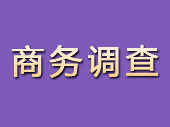 郊区商务调查